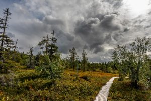 Wanderungen in finnisch Lappland