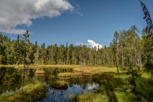 Wanderungen in finnisch Lappland