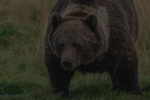 Wanderurlaub in finnisch Lappland am Nordpolarkreis Region Kussamo
