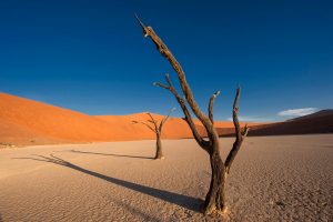 Das ehemalige Deutschsüdwest Afrika