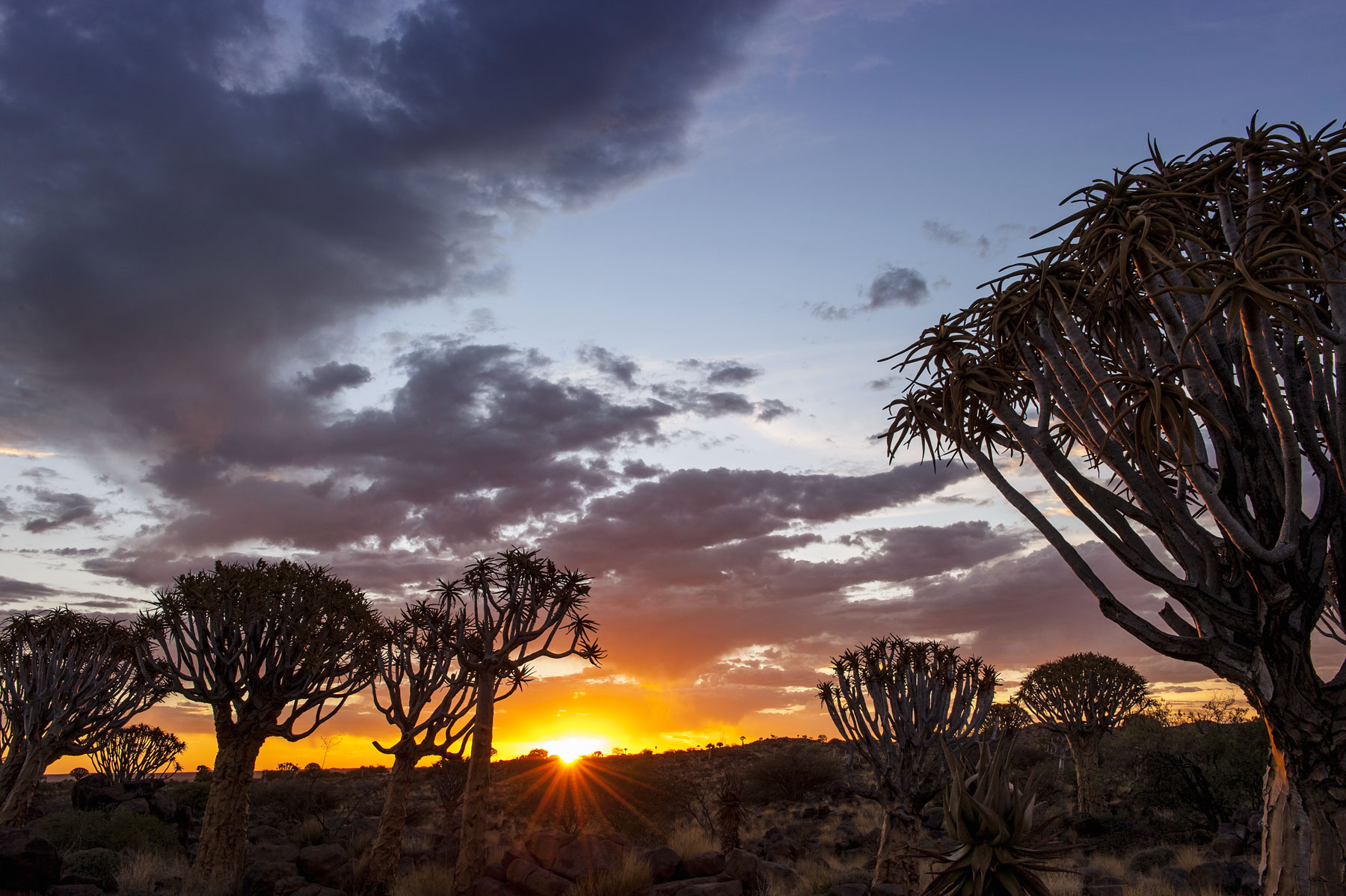 Von der Hauptstadt Windhoek in Richtung Süden