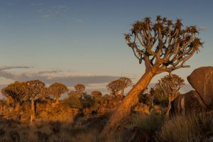 Von der Hauptstadt Windhoek in Richtung Süden