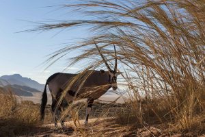 Von der Hauptstadt Windhoek in Richtung Süden