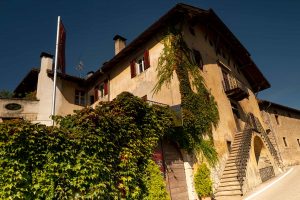 Sonne Lebensfreude Wein und Äpfel Südtirol