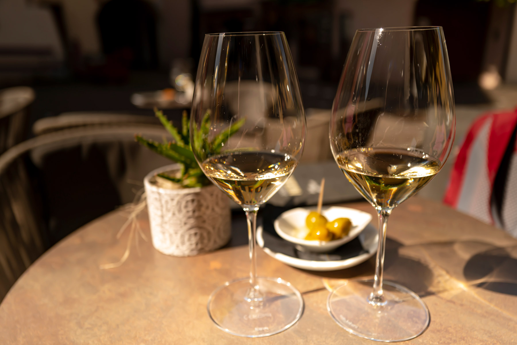 Sonne Lebensfreude Wein und Äpfel Südtirol