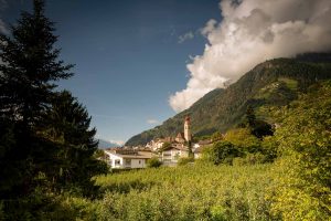 Sonne Lebensfreude Wein und Äpfel Südtirol