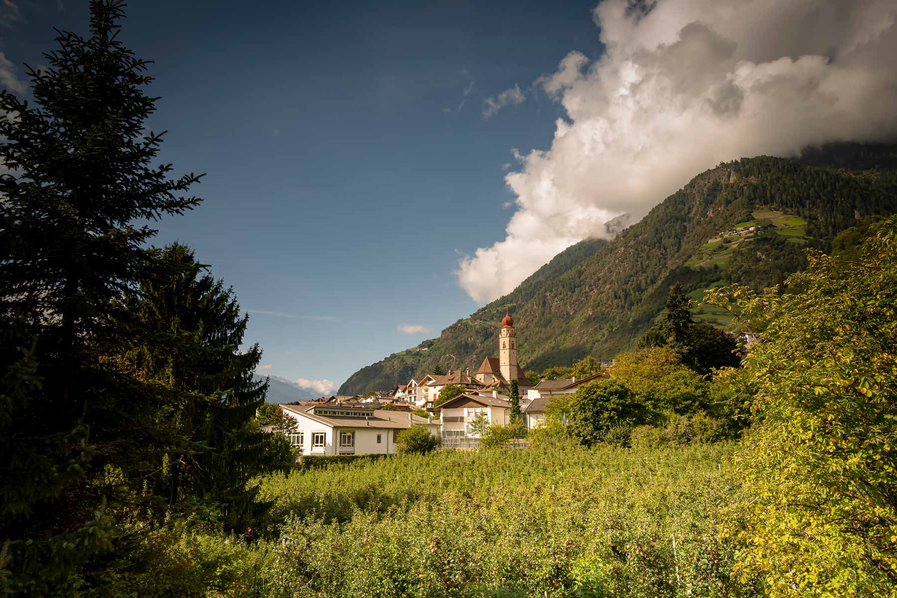 Sonne Lebensfreude Wein und Äpfel Südtirol