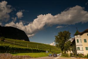Sonne Lebensfreude Wein und Äpfel Südtirol
