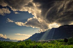 Sonne Lebensfreude Wein und Äpfel Südtirol