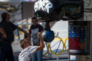 Wein- und Volksfest am Rhein